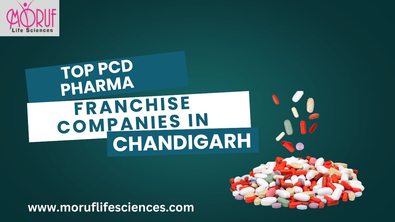 Top PCD Pharma Franchise Companies in Chandigarh
