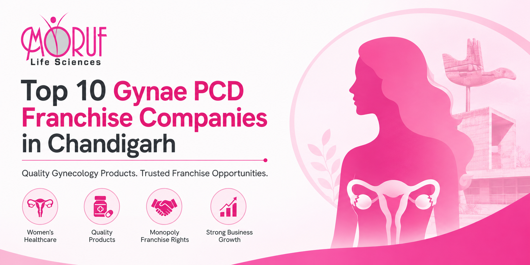 Top PCD Pharma Franchise Companies in Chandigarh